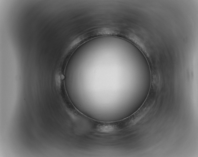 X0000116330063200912011141