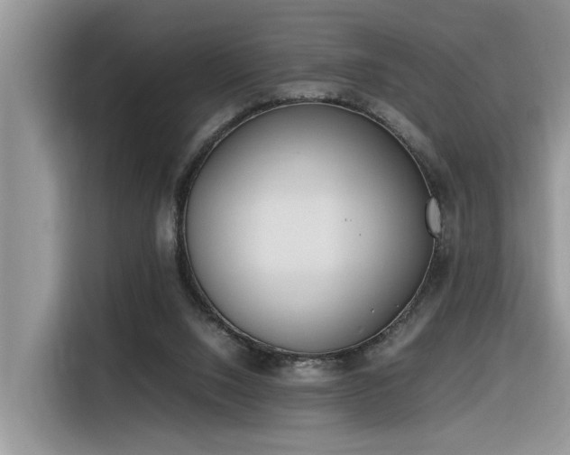 X0000116330064200912011141