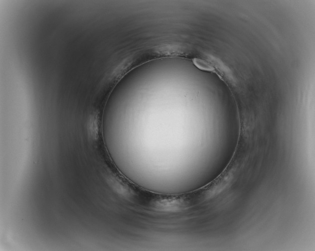 X0000116330065200912011141