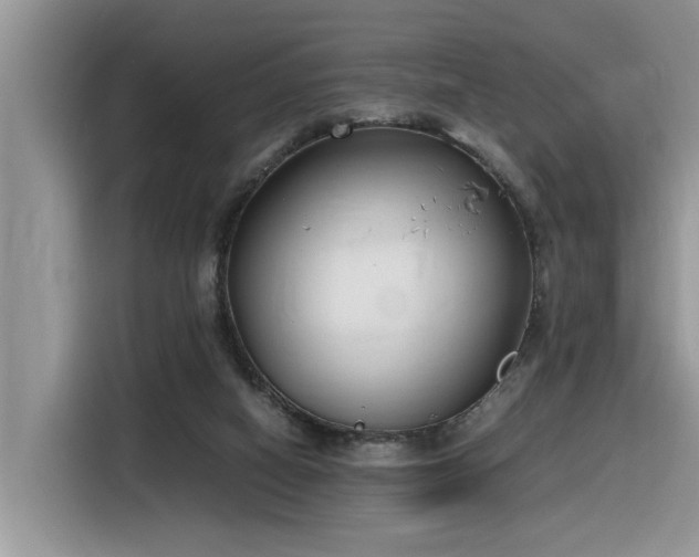 X0000116330066200912011141