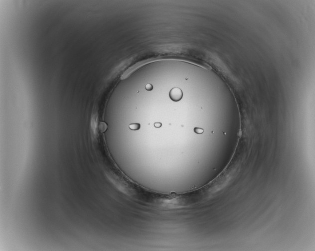 X0000116330068200912011141