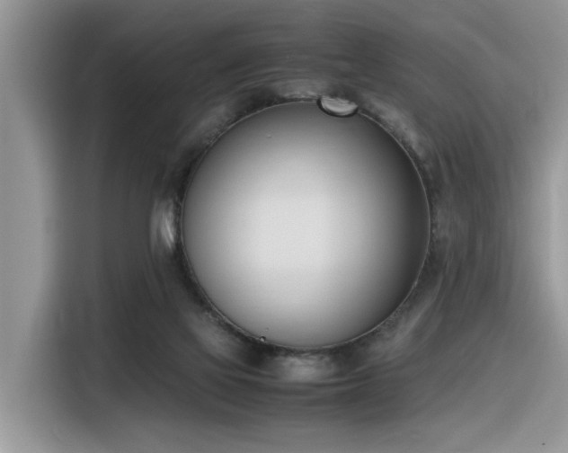 X0000116330069200912011141
