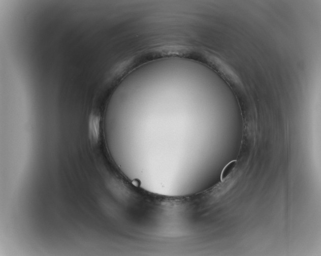X0000116330070200912011141