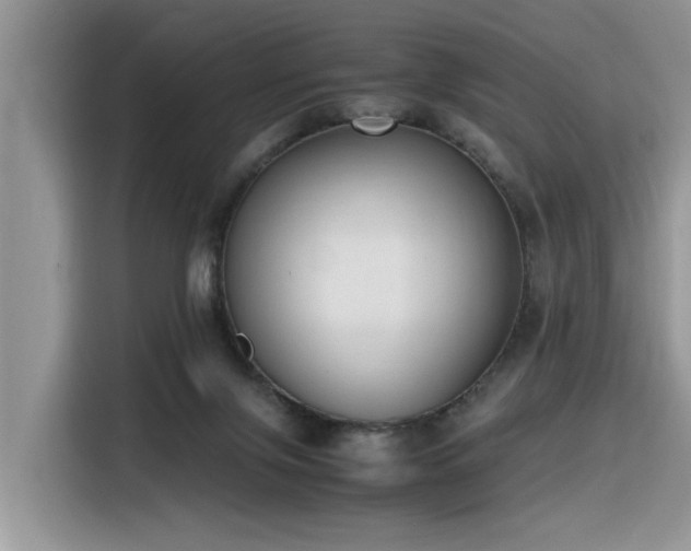 X0000116330071200912011141