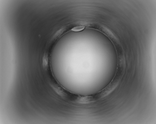 X0000116330072200912011141