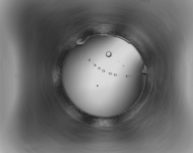 X0000116330073200912011141