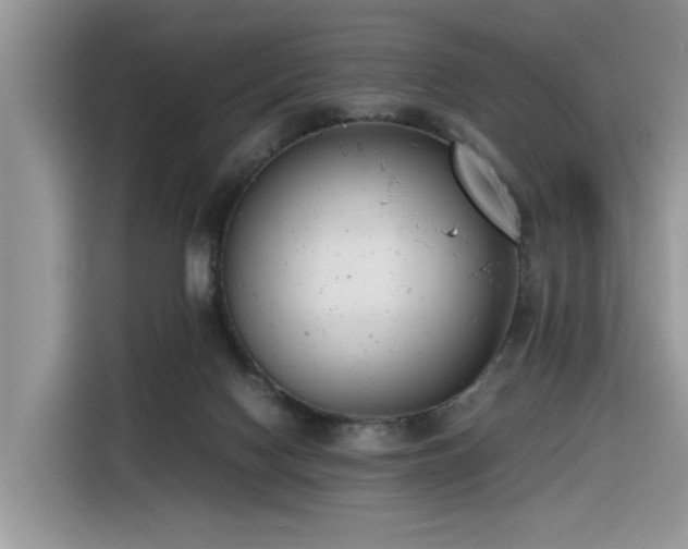 X0000116330074200912011141
