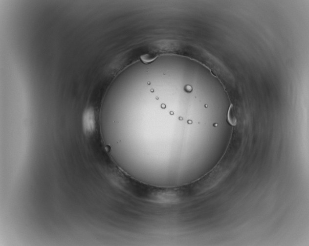 X0000116330075200912011141