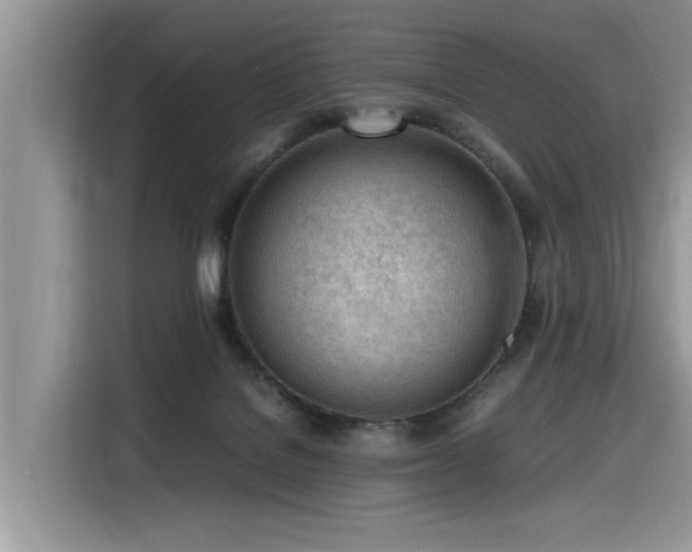 X0000116330076200912011141