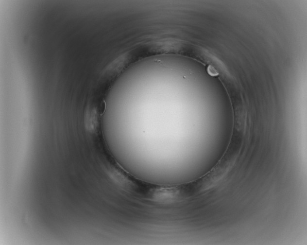 X0000116330077200912011141