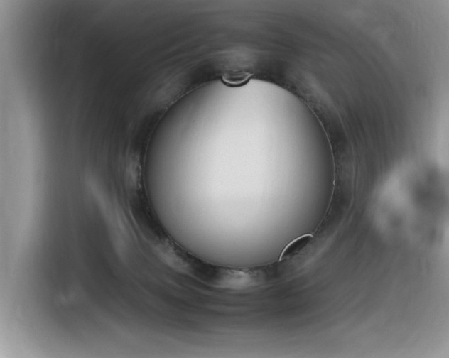 X0000116330083200912011141