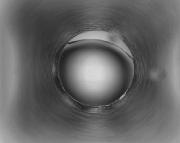 X0000116330084200912011141