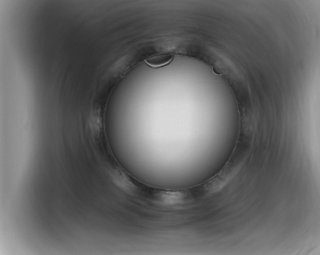 X0000116330085200912011141