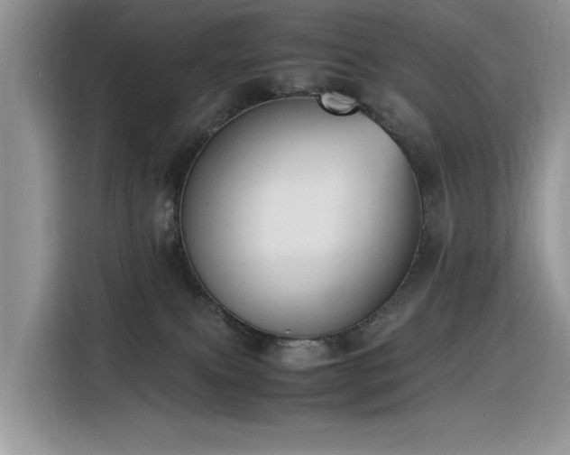 X0000116330087200912011141