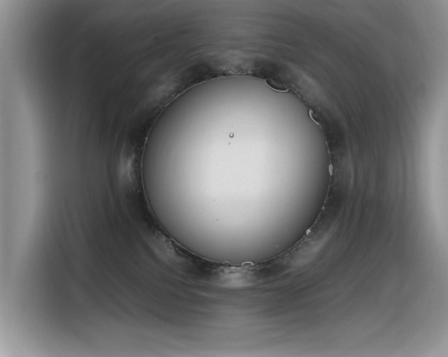 X0000116330088200912011141
