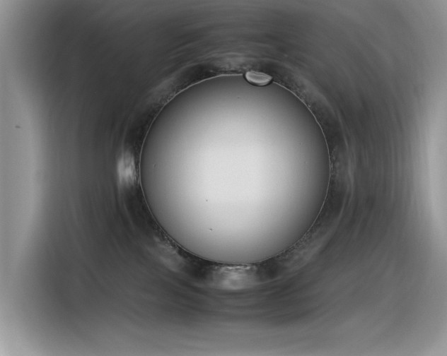 X0000116330089200912011141