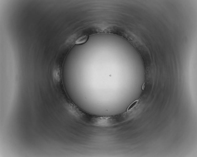 X0000116330090200912011141