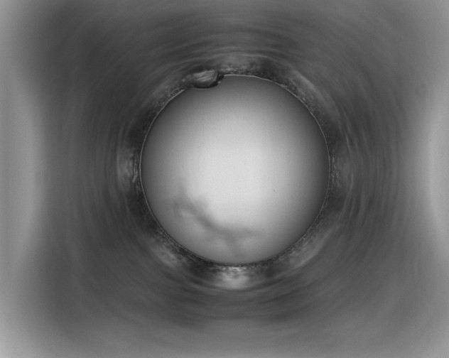 X0000116330091200912011141