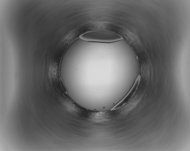 X0000116330092200912011141