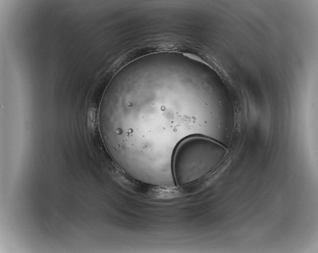 X0000116330093200912011141