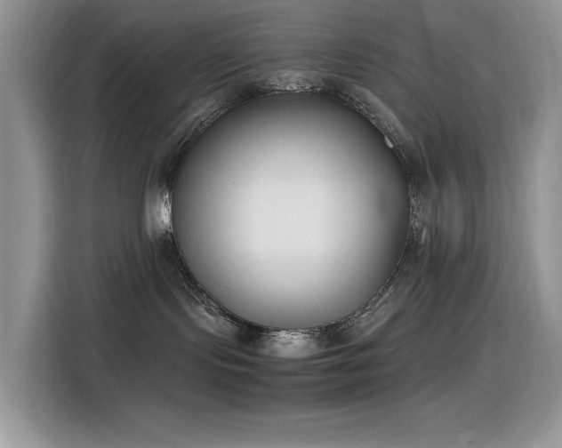 X0000116330095200912011141