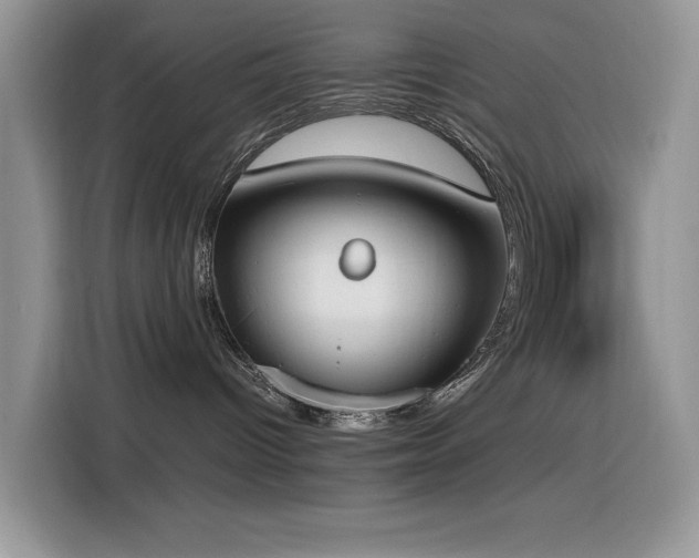 X0000116330096200912011141