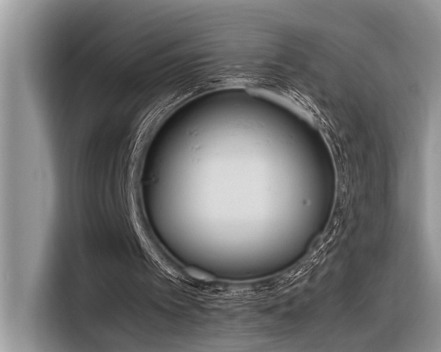 X0000116330097200912011140