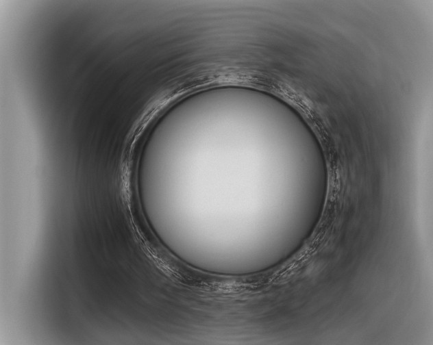 X0000116330098200912011140