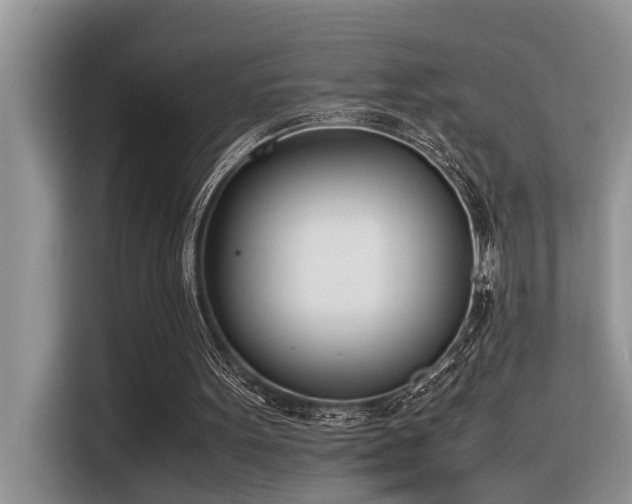 X0000116330099200912011140