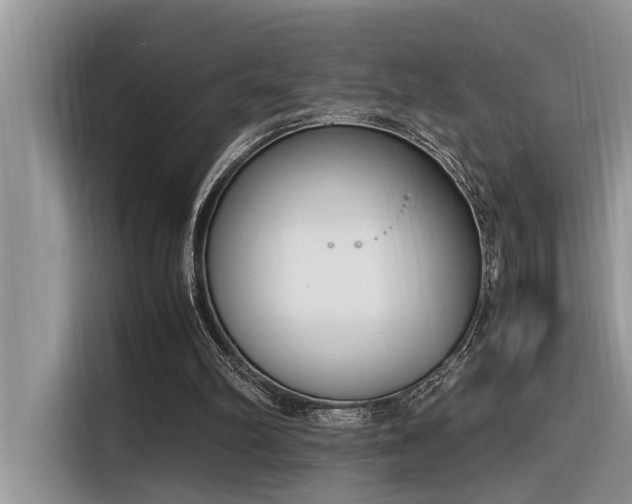 X0000116330102200912011140