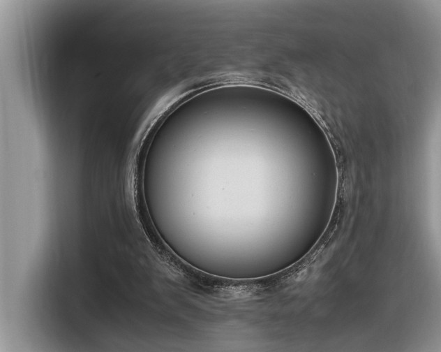 X0000116330103200912011140