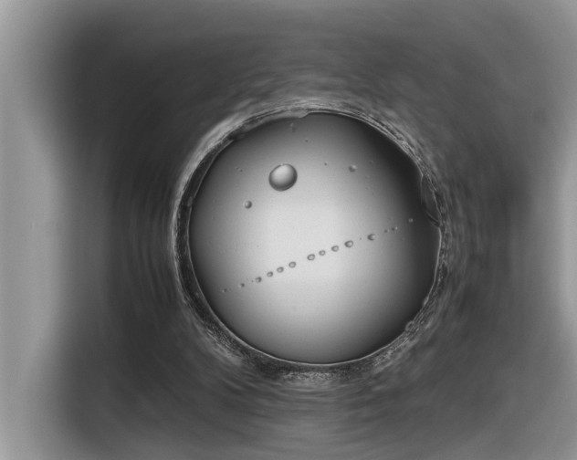 X0000116330104200912011140