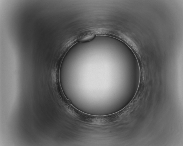 X0000116330105200912011140