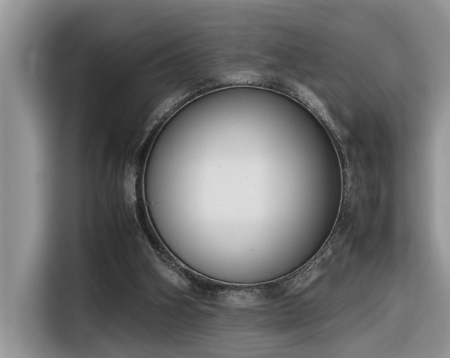X0000116330106200912011140