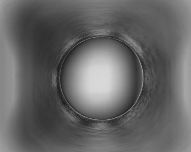X0000116330107200912011140