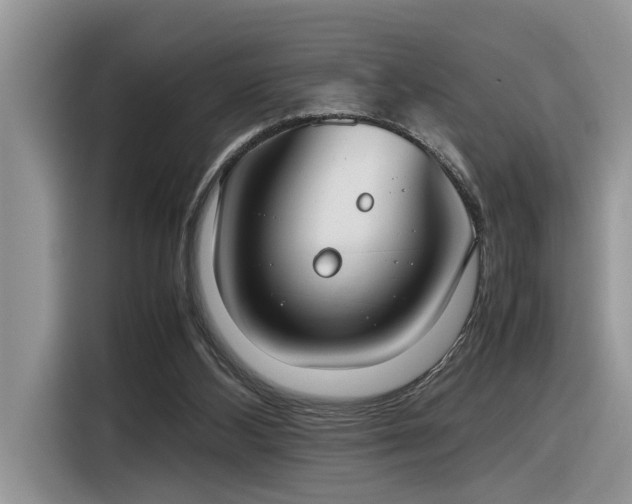 X0000116330108200912011140