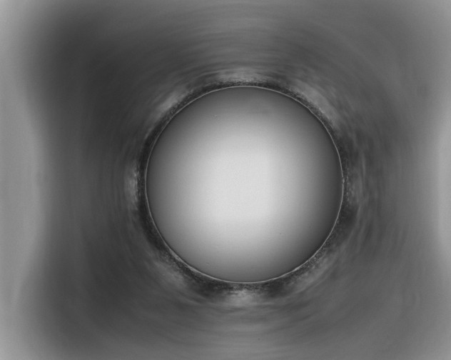 X0000116330111200912011140