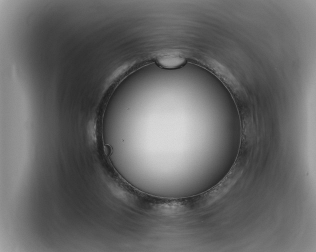 X0000116330112200912011140