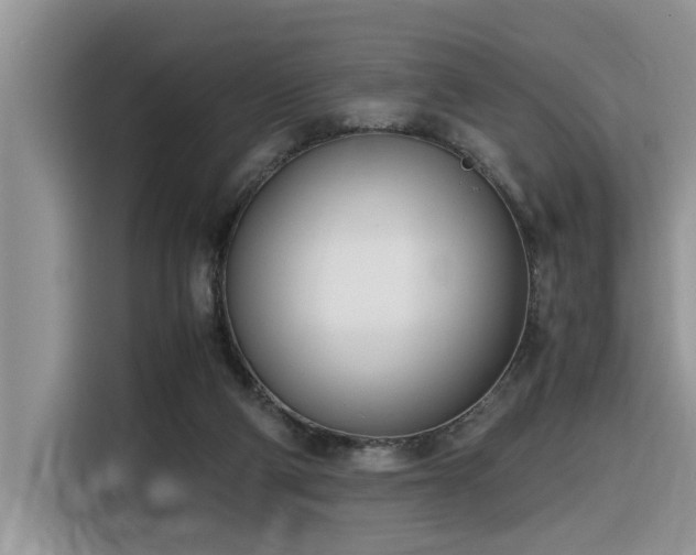 X0000116330114200912011140