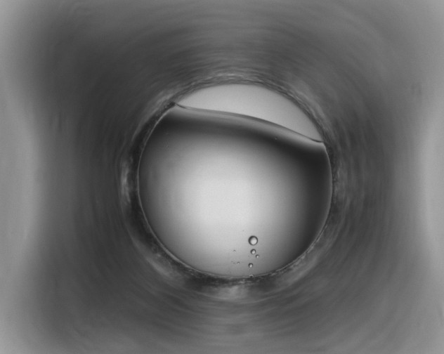 X0000116330116200912011140