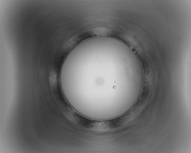X0000116330117200912011140