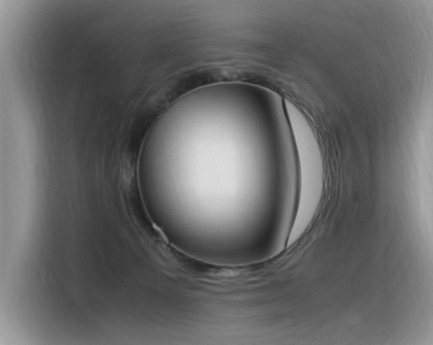X0000116330129200912011140