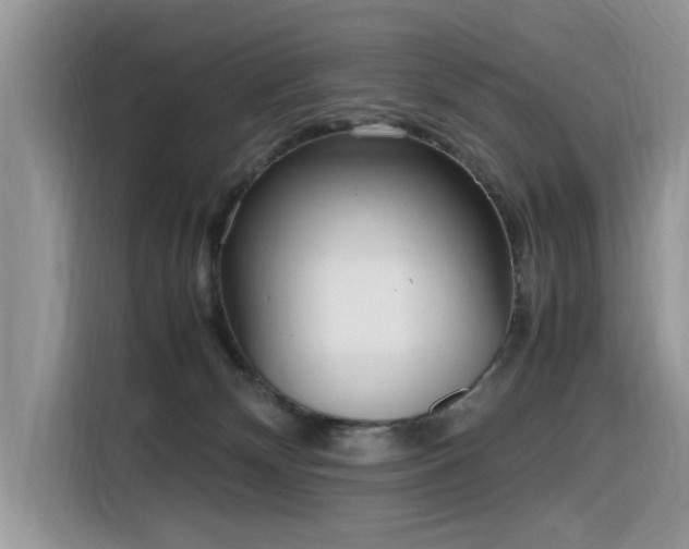 X0000116330132200912011140
