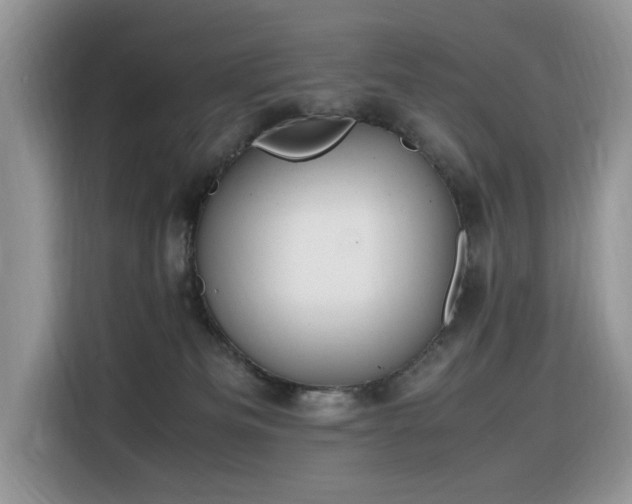X0000116330133200912011140