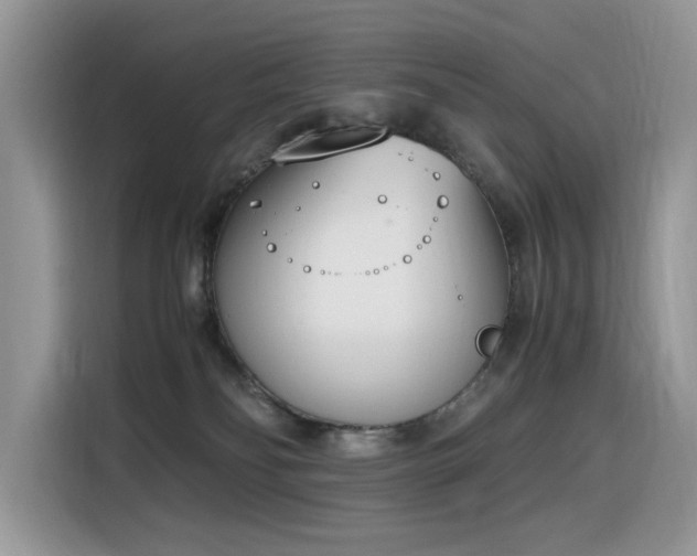 X0000116330134200912011140