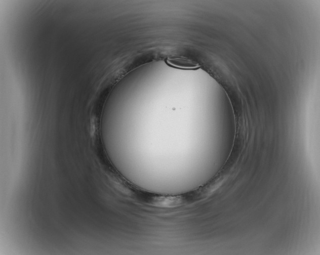 X0000116330135200912011140