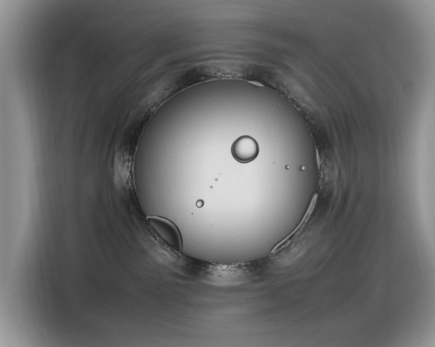 X0000116330141200912011140