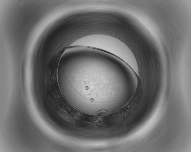 X0000116330143200912011140