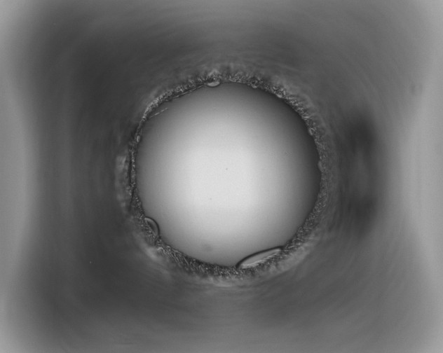 X0000116330144200912011140