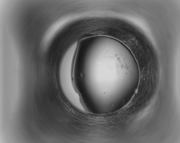 X0000116330146200912011139
